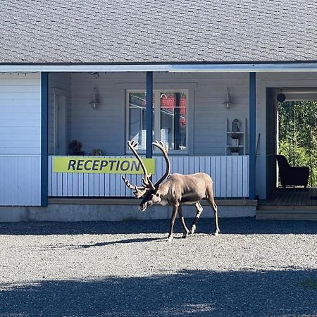 Scandinavian Dream Cottages Vikajarvi- Rovaniemi エクステリア 写真